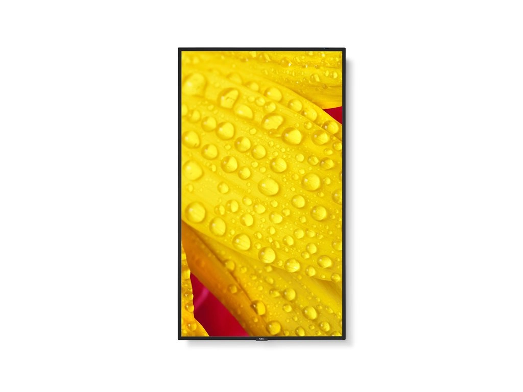 NEC MultiSync M431-2 - 43 Diagonal Class (42.5" viewable) LED-backlit LCD display - digital signage - with built-in media player