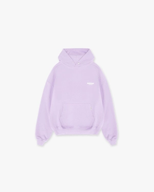 Represent Owners Club Hoodie - Pastel Lilac