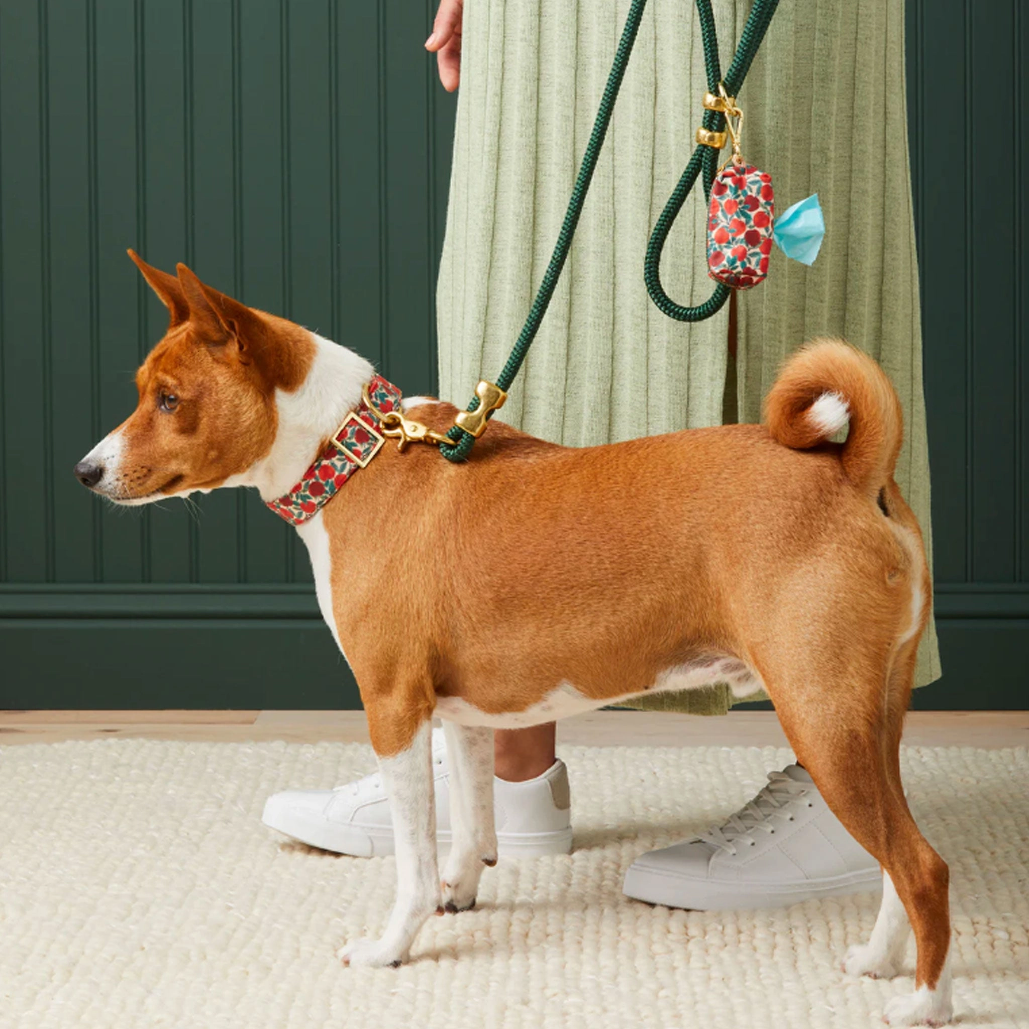 The Foggy Dog Leash Bag Apple of My Eye Dog Leads