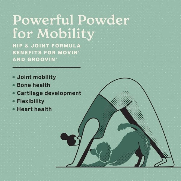 The Missing Link Hip & Joint Powder Supplement for Dogs
